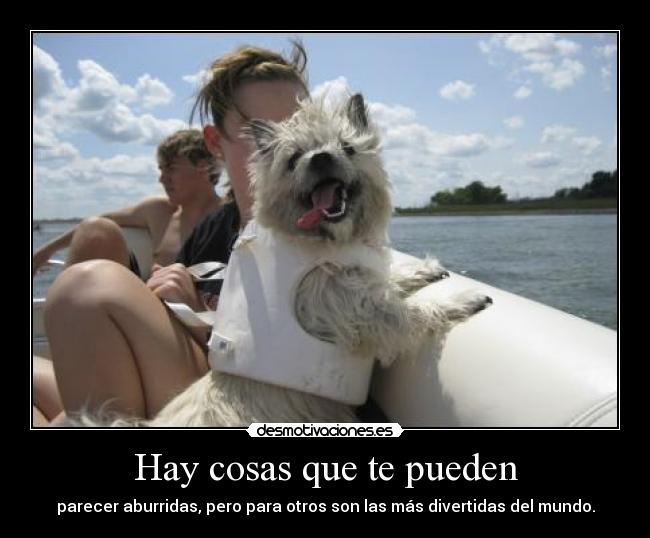 carteles rapyeah perro desmotivaciones