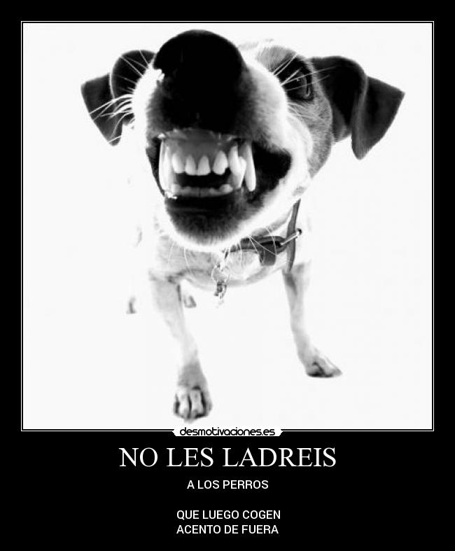 carteles les ladreis los perros ideotas clanlibertario desmotivaciones