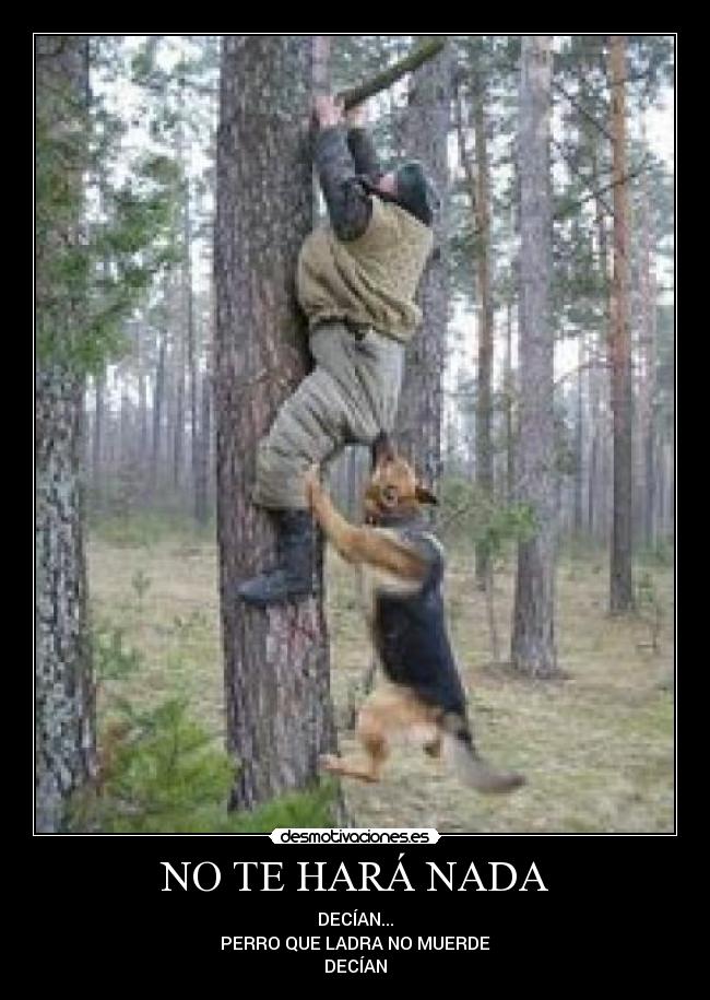 NO TE HARÁ NADA -