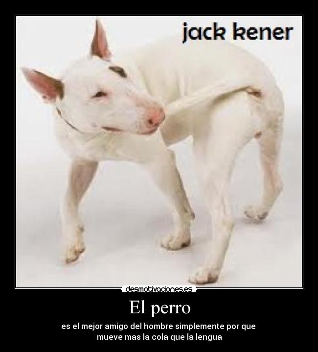 El perro - es el mejor amigo del hombre simplemente por que 
mueve mas la cola que la lengua