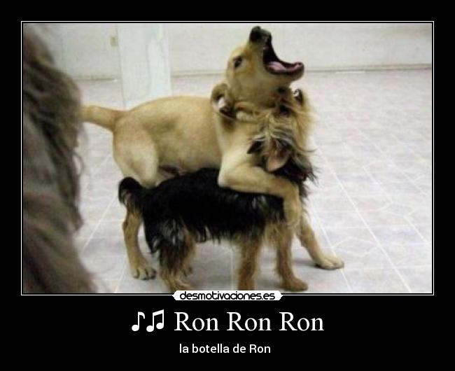 ♪♫ Ron Ron Ron - la botella de Ron ♫♪