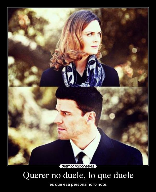 carteles carolina96 bones emly david miradas que dicen todo palabras sobran simple amor querer cosas desmotivaciones