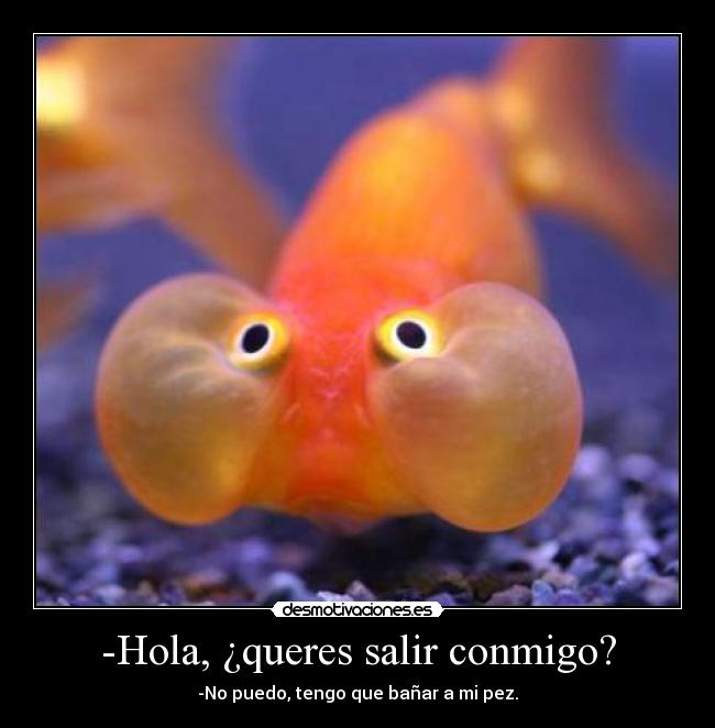 -Hola, ¿queres salir conmigo? - -No puedo, tengo que bañar a mi pez.