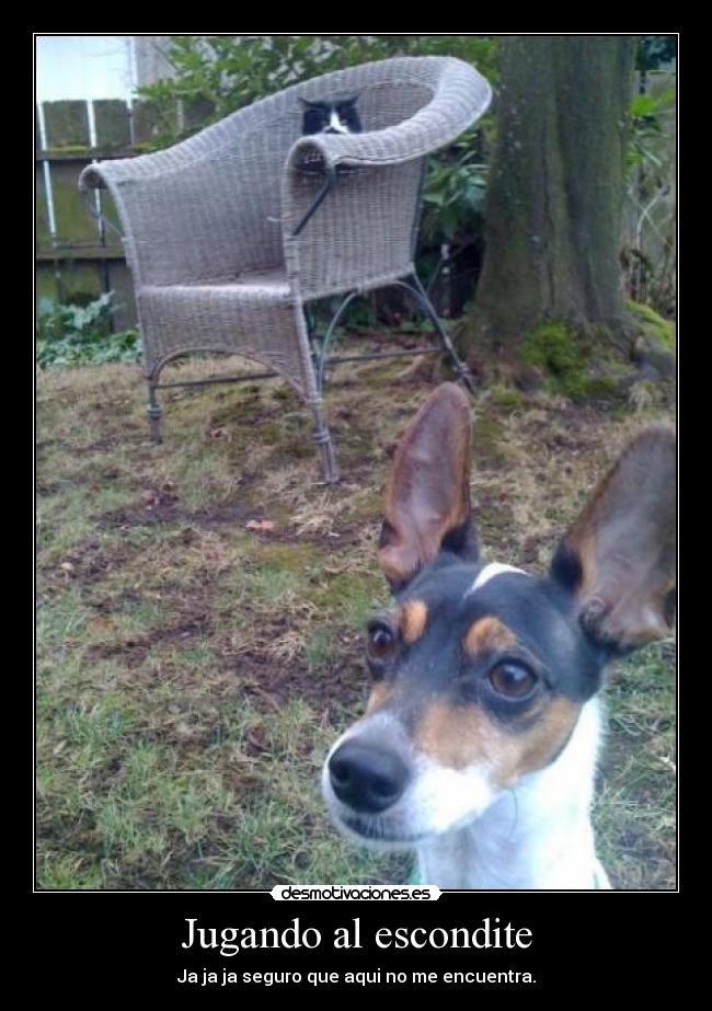 Jugando al escondite - 