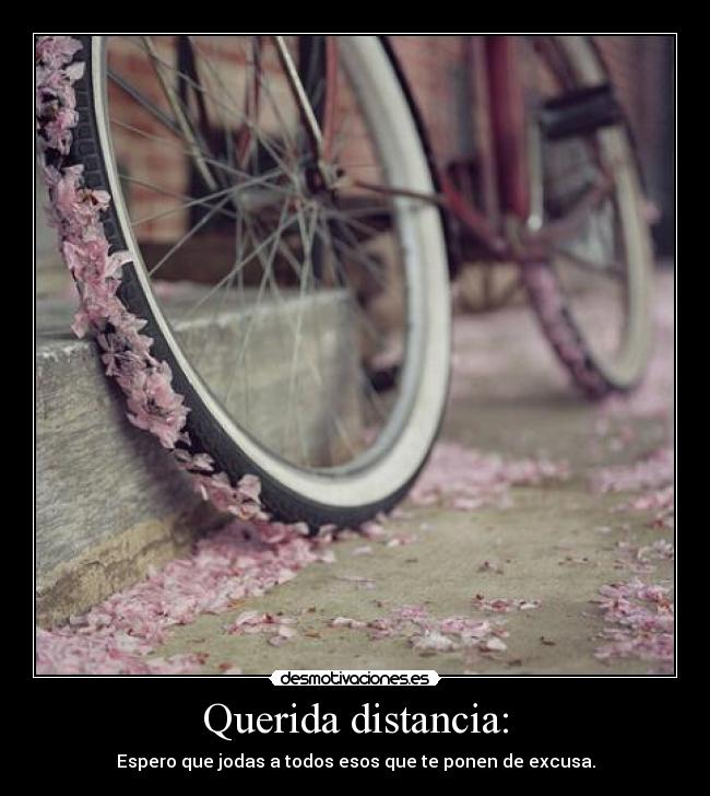 Querida distancia: - 