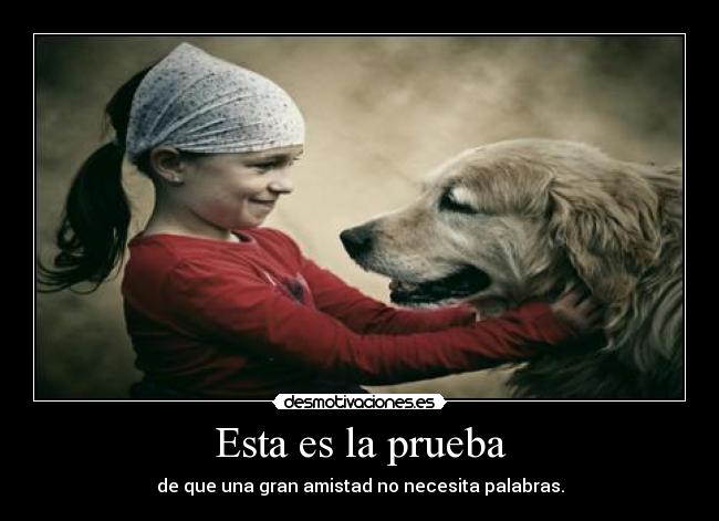 Esta es la prueba - de que una gran amistad no necesita palabras.