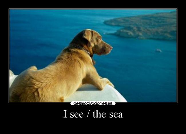 I see / the sea - 