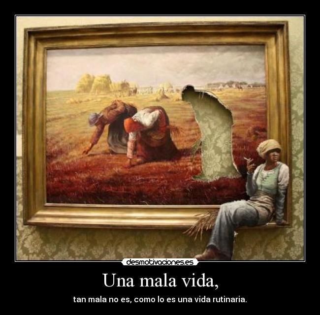 carteles vida sus den porkulo boi fumarme kanuto vicious89 desmotivaciones