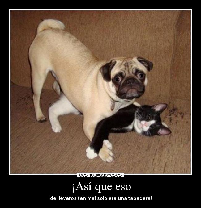 carteles asi desmotivaciones