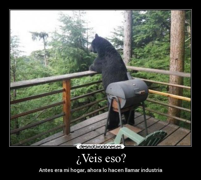 ¿Veis eso? -