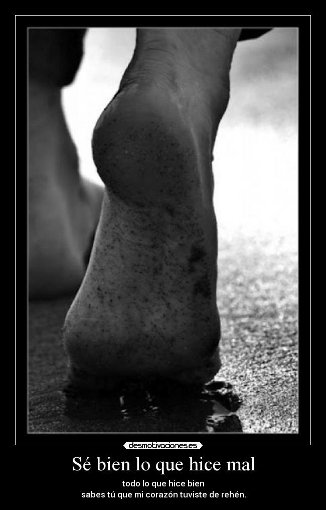 Sé bien lo que hice mal - todo lo que hice bien
sabes tú que mi corazón tuviste de rehén.