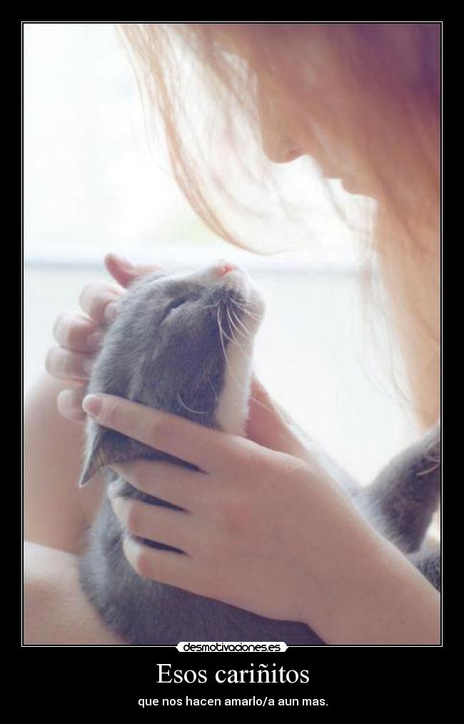 carteles abcdefghijklmnopqrstuvwxyz desmotivaciones