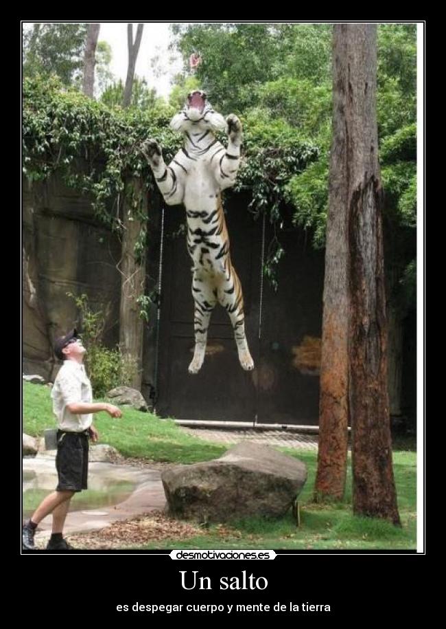 Un salto - 