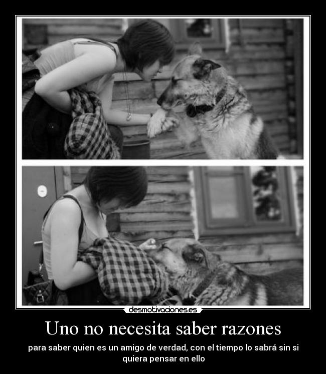 carteles imperiodesplazado clandesplazado desmotivado15 clandalfe15 desmotivaciones