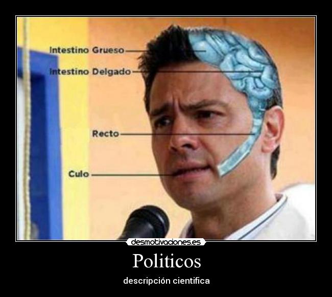 Politicos - descripción cientifica