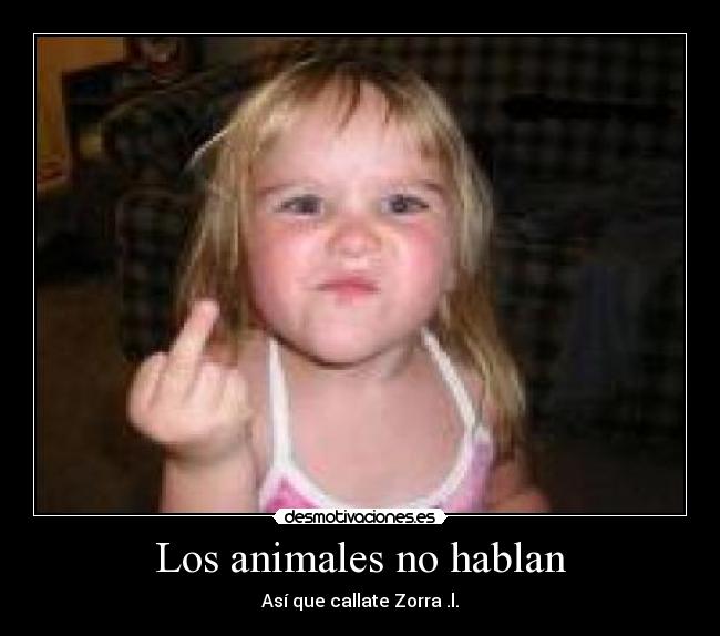 Los animales no hablan - Así que callate Zorra .l.