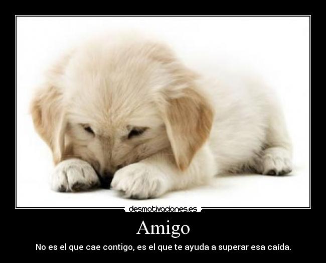 Amigo - No es el que cae contigo, es el que te ayuda a superar esa caída.