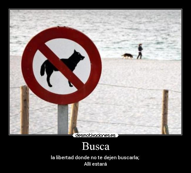 Busca -
