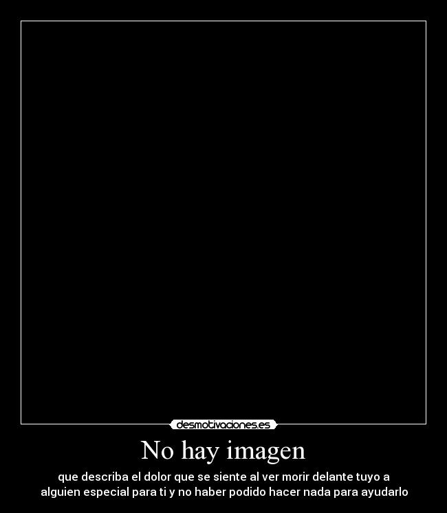 No hay imagen -