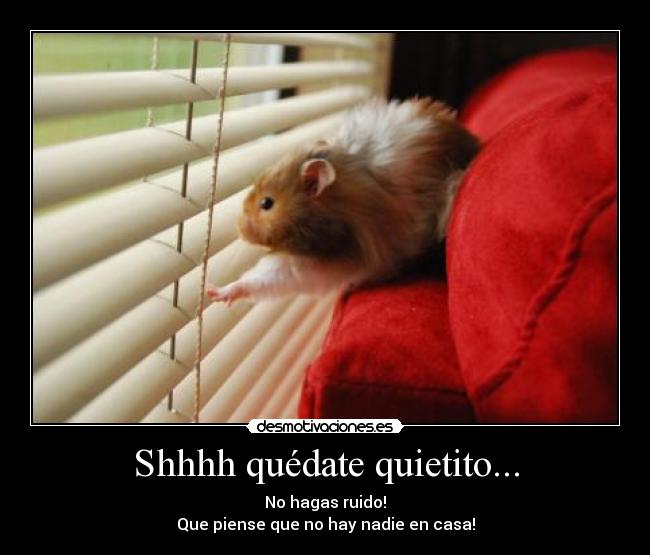 Shhhh quédate quietito... - No hagas ruido!
Que piense que no hay nadie en casa!