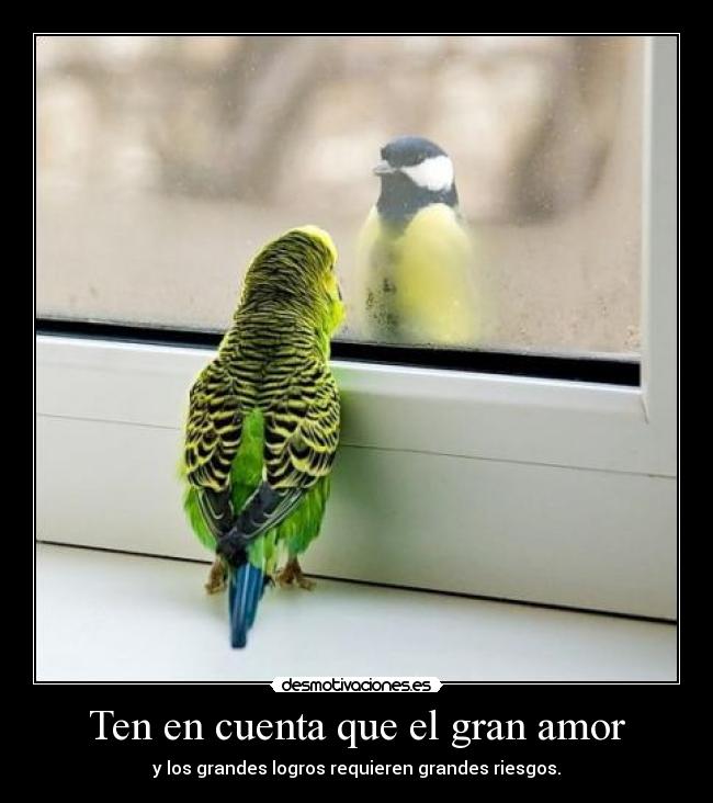 Ten en cuenta que el gran amor - y los grandes logros requieren grandes riesgos.