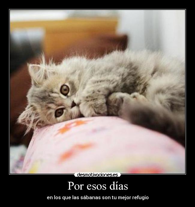 Por esos días - en los que las sábanas son tu mejor refugio