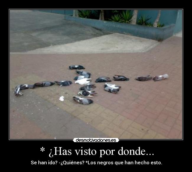 * ¿Has visto por donde... - Se han ido? -¿Quiénes? *Los negros que han hecho esto.