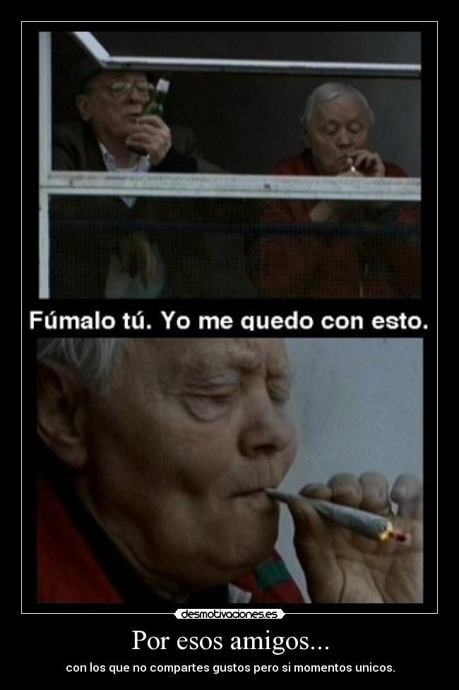 carteles amigos peliculas hooligans diario barrabrava amigos cervezas porros desmotivaciones