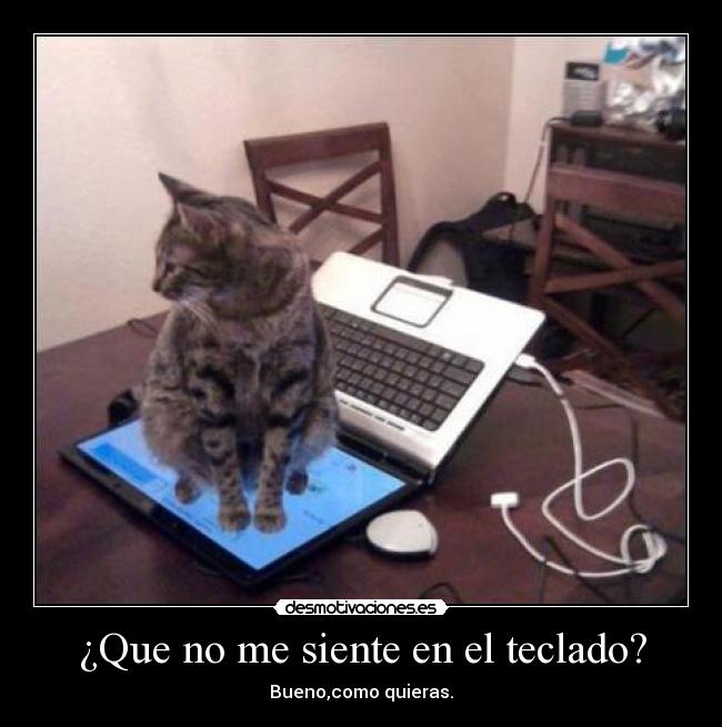 ¿Que no me siente en el teclado? - Bueno,como quieras.