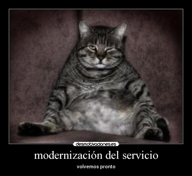 modernización del servicio - volvemos pronto