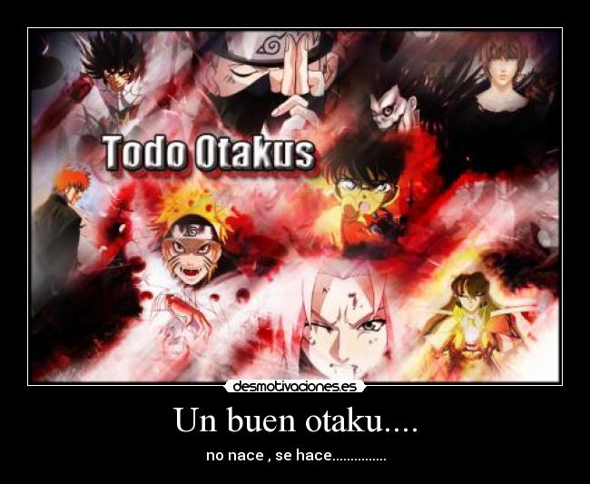 Un buen otaku.... -