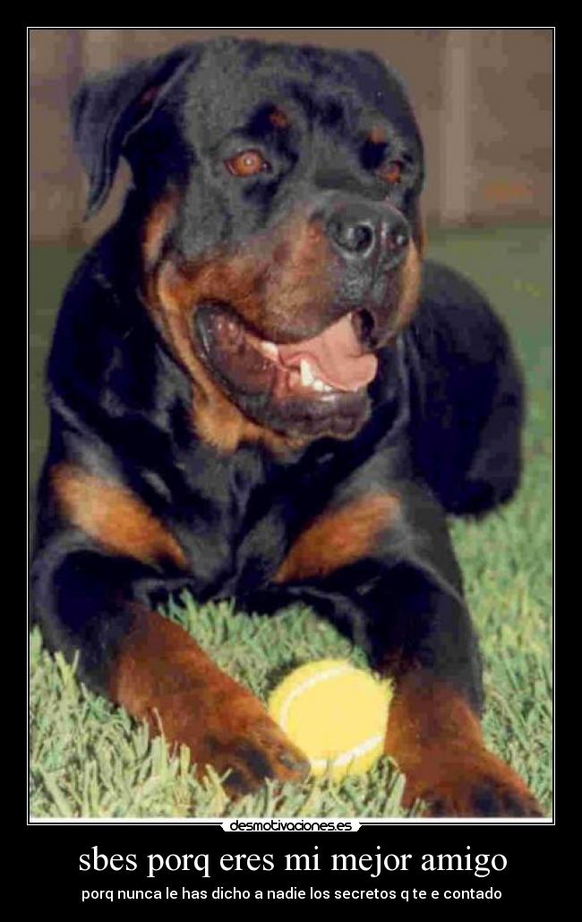 carteles eduardo perez desmotivaciones