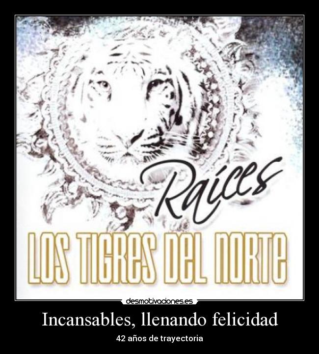 carteles felicidad los tigres del norte desmotivaciones