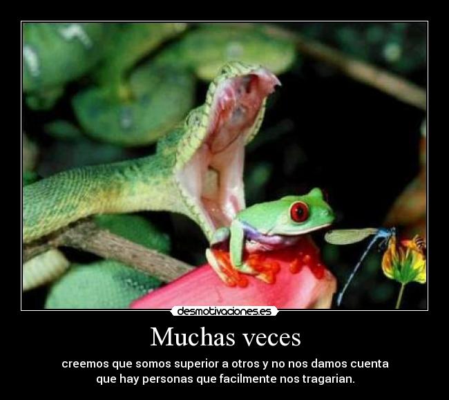 carteles muchas veces desmotivaciones