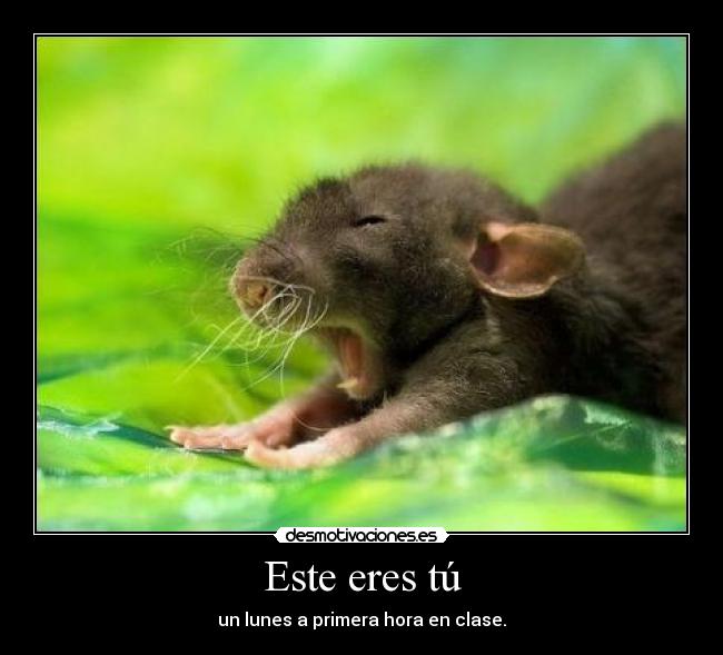 Este eres tú - un lunes a primera hora en clase.