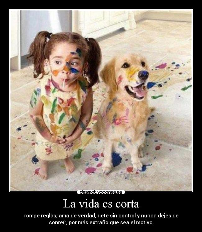 La vida es corta -