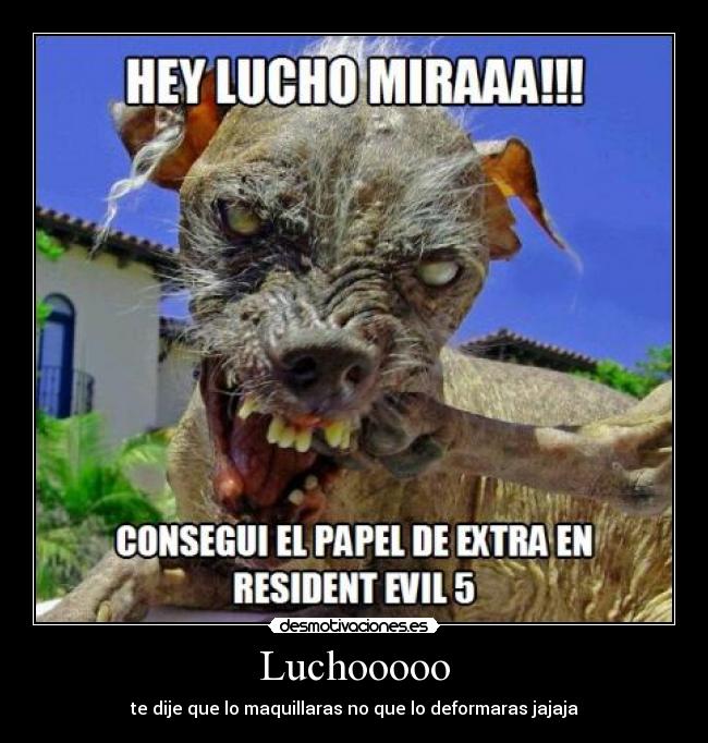 Luchooooo -