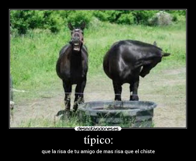 típico: - que la risa de tu amigo de mas risa que el chiste