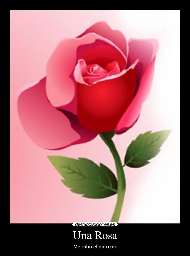 Una Rosa - Me robo el corazon