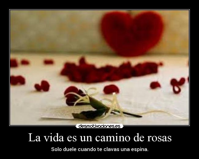 La vida es un camino de rosas - Solo duele cuando te clavas una espina.