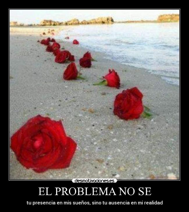 carteles keila cairo desmotivaciones