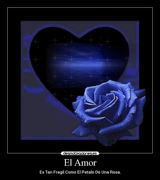 El Amor - 