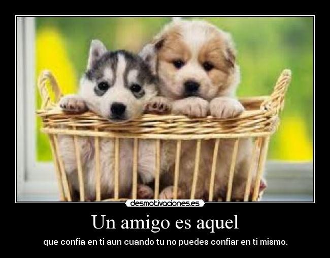 Un amigo es aquel - que confia en ti aun cuando tu no puedes confiar en ti mismo.