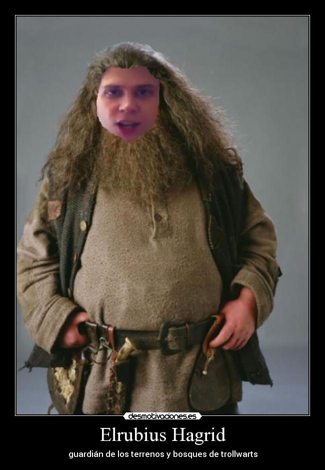 carteles troll elrubius desmotivaciones