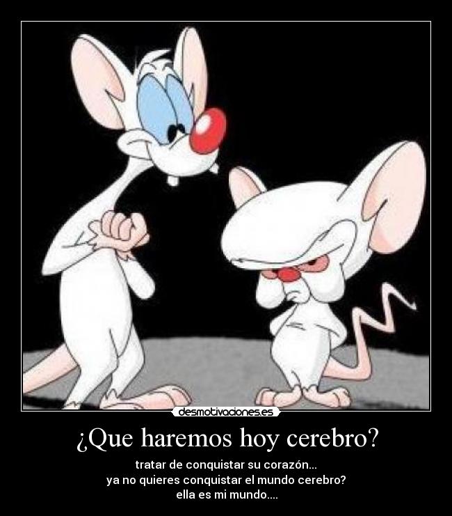 ¿Que haremos hoy cerebro? - tratar de conquistar su corazón...
ya no quieres conquistar el mundo cerebro?
ella es mi mundo....