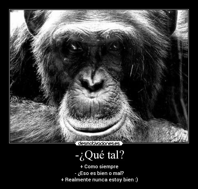 -¿Qué tal? - + Como siempre
- ¿Eso es bien o mal?
+ Realmente nunca estoy bien :)