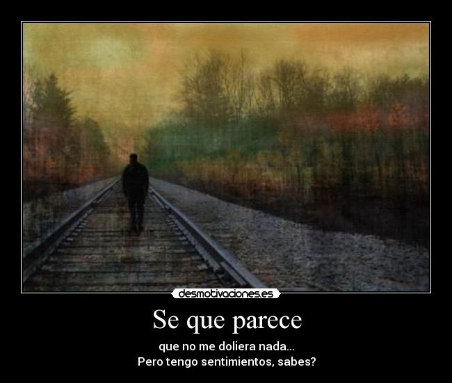 Se que parece - 