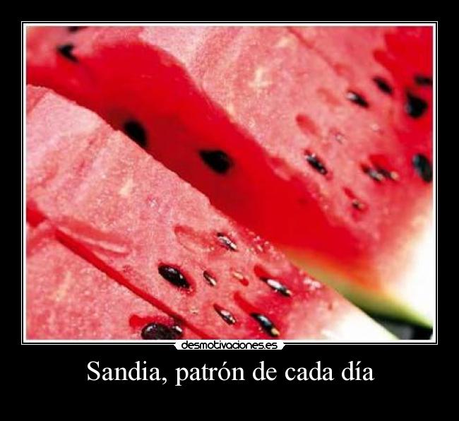 Sandia, patrón de cada día - 