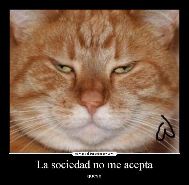 La sociedad no me acepta - queso.