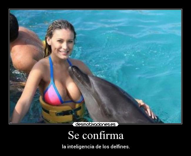 carteles clan humor antihipsters efejota desmotivaciones